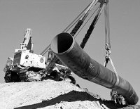 «Все, проект закрыт»