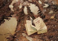 Русская литература, как источник разведданных...