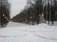 В Харькове из-за массовых отключений света раскупают генераторы