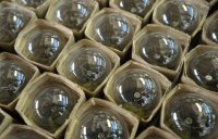 Евроинтеграция минус электрификация: Одесскую область накрыла волна бунтов