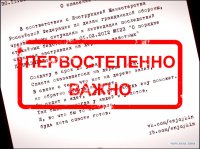 Приказ! Я спас кота