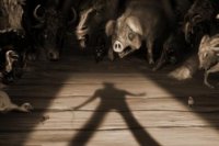 Украина – это уже «Скотный двор»