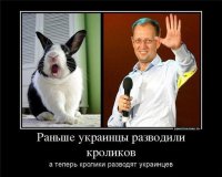 Подборка новостей из страны породистых скакунов 16-12-2014