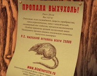 Из жизни выхухолей