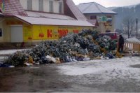 Плохие приметы для Галичины: сначала новогодняя елка упала, теперь сгорела