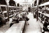 Две тысячи пятнадцатый. Эпоха истребления