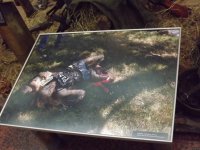 Украинские архивы уже показывают - как русские агрессоры в войнах XX века уничтожали украинцев