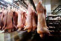 Россия возможно возобновит поставки европейских «санкционных» продуктов