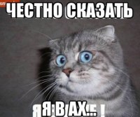 Жена мобилизованного: Мне не страшно за него, потому что у меня уже погибли брат и кум