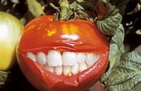 Защита от ГМО