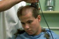 Прочь из Киева! В курятник, в глушь!