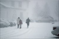 Снежная дефлорация