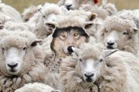 Европа признала: международные правила - это для слабых