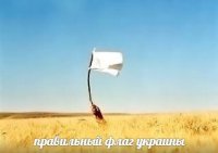 Кто разрушил железнодорожный узел в Дебальцево?