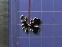 В КНР создали прототип жидкого робота как в фильме «Терминатор»