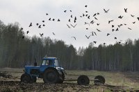 Украинских фермеров поставили в безвыходное положение перед посевной