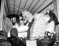 «Просто писать о Донбассе – мало»