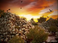 Война и хаос впереди: Как мега-богатые готовятся к этому