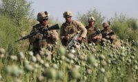 В Афганистане правительственные войска вступили в перестрелку с силами НАТО