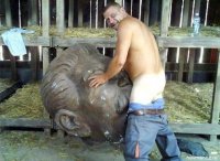 В Украине переименуют все города, улицы и даже станции метро с советскими названиями и снесут все советские памятники.