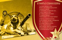«Четвероногие солдаты». Как животные воевали за Победу