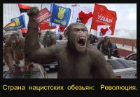 Скакуны-вандалы вновь рушат памятники