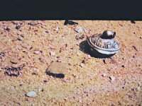 Америка на Марсе