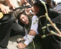 Украинских боевиков искусству побеждать русских обучат грузины