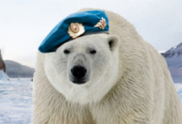 Битва за Арктику