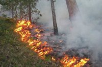 Этим нелюдям - ядерную люстрацию