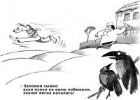 Сезонное обострение в зверинце