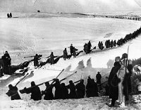 «Литовцы перестреляли своих командиров и разбежались»