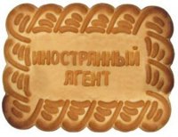 Госдума приняла закон о «нежелательных» НПО