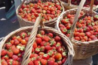 Вся Одесса - Тернопольская область