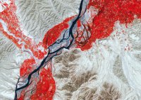 Россия в борьбе c афганским наркотрафиком