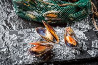 Россия исключит из продэмбарго морепродукты