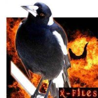 Неофициально о пожаре под Васильковом