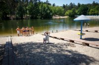 На Украине «Артеки в изгнании» размножаются как тараканы