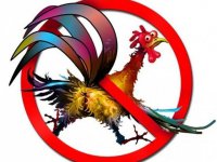 Полиция Стамбула применила газ и водометы против участников гей-марша