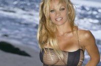 Памела Андерсон написала письмо Владимиру Путину