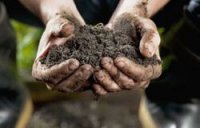 Запад: почём нынче украинская земелька?..