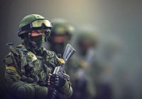 Бородино-2015. Ещё раз о причитаниях «путинвсёслильщиков»