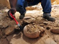 Ученые: Предки европейцев пришли из России