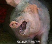 Новости Украины: «Салют» в честь ДР карателя