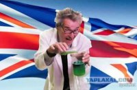 Борщевик и президент России: причинно-следственная связь по-британски