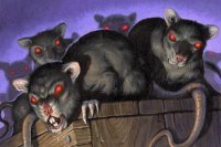 Битва крысиных королей. Коломойский пытается взять реванш в Одессе