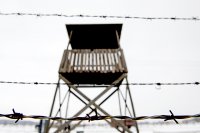 Философия карателя. Украинские "мыслители" призывают создавать концлагеря