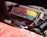 Если украинский флаг окропить кровью...