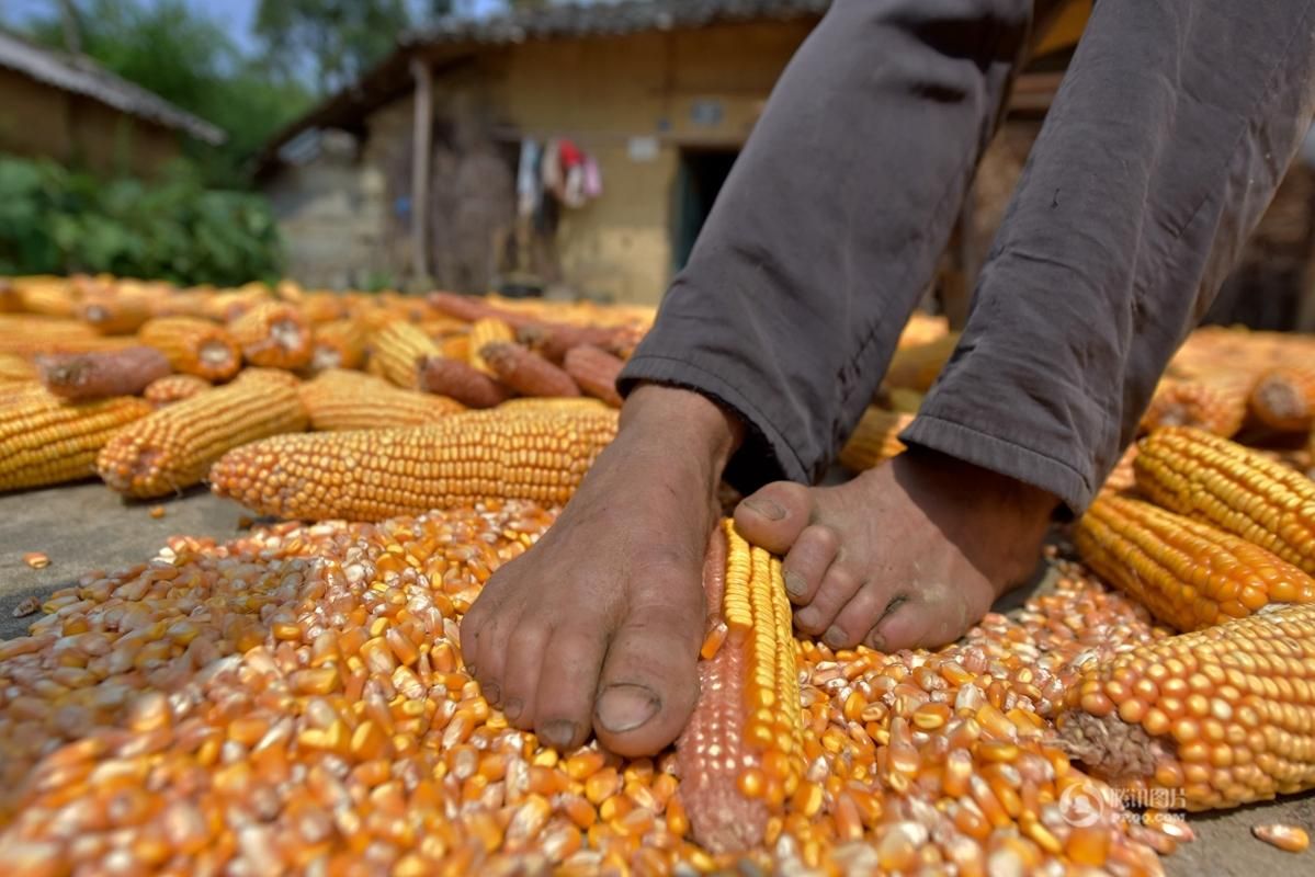 управление сельского хозяйства. пустыни и полупустыни хозяйственная деятельность. фермер. ведет хозяйство. промышленность и сельское хозяйство австралии таблица.