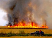 Август-2015: каких потрясений ждать?